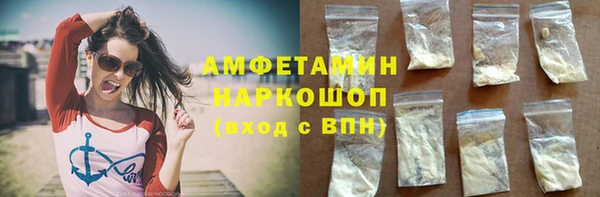 индика Белокуриха