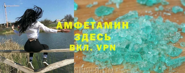 индика Белокуриха