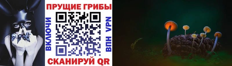 Купить  Райчихинск  Псилоцибиновые грибы Magic Shrooms 